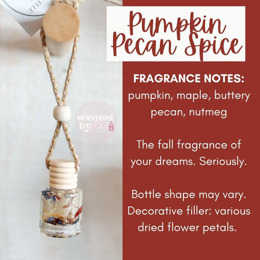 Pumpkin Pecan Spice Car Diffuser