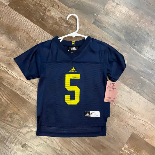 3T Michigan Jersey