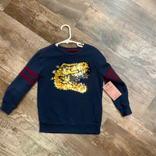 4T Dino Sequin Pullover